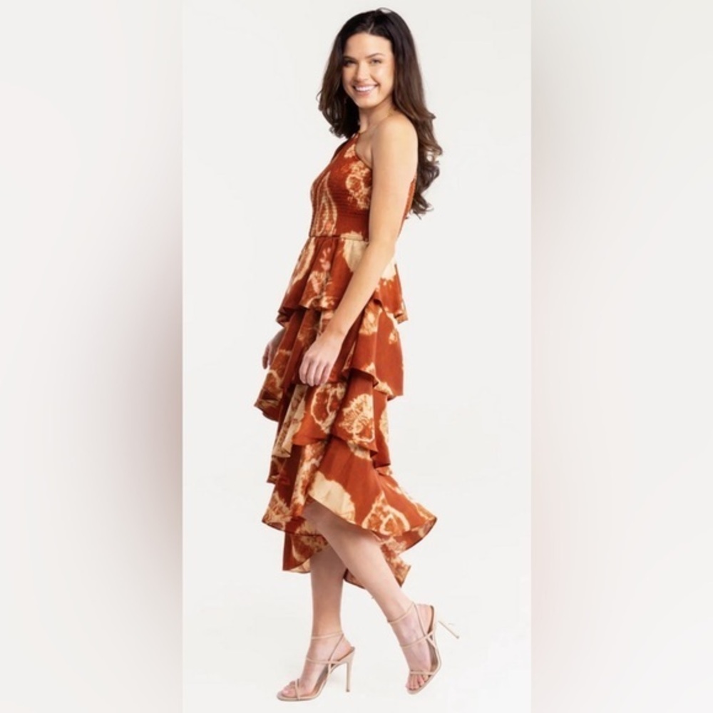 NEW ALDEN ADAIR COLLINS DRESS RUFFLE ONE SHOULDER MARFA sz S